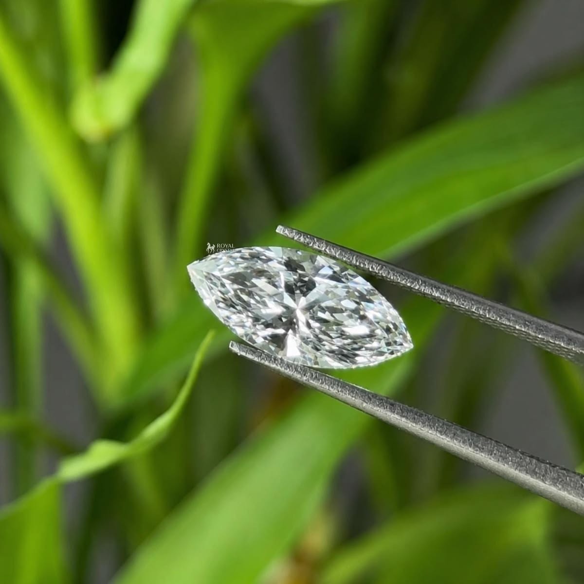 3 Ct Marquise Cut Loose Lab Grown Diamond Natural D Color VVS1 Certified