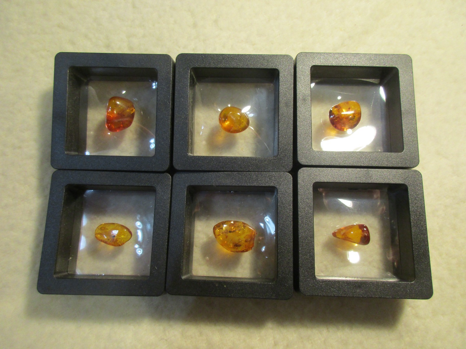 SIX BALTIC AMBER SPECIMENS WITH INSECT INCLUSIONS LOT SIX BALTIC AMBER SPECIMENS WITH INSECT INCLUSIONS LOT