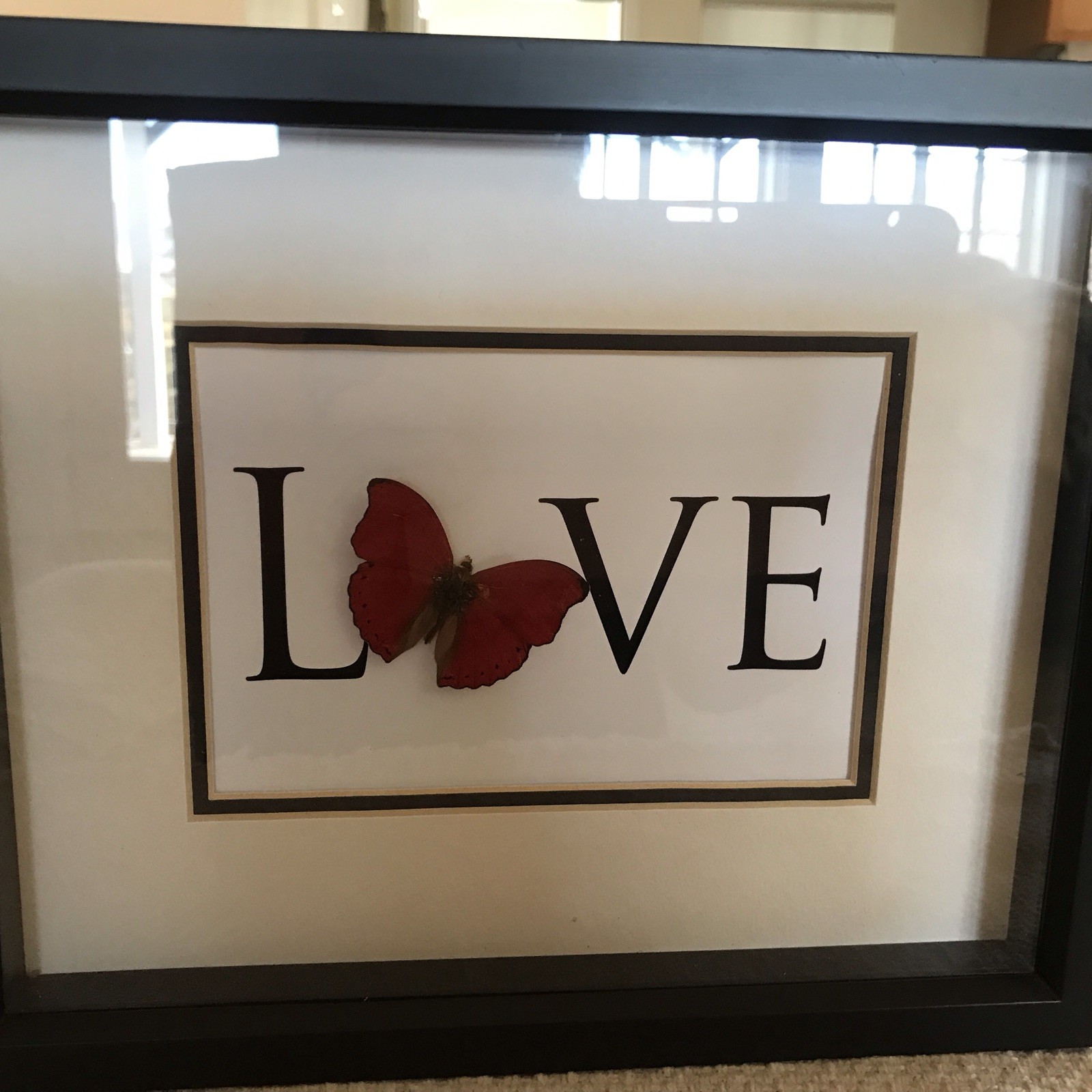 Bug Under Glass Sangria Heart Butterfly LOVE 2010 11 X9