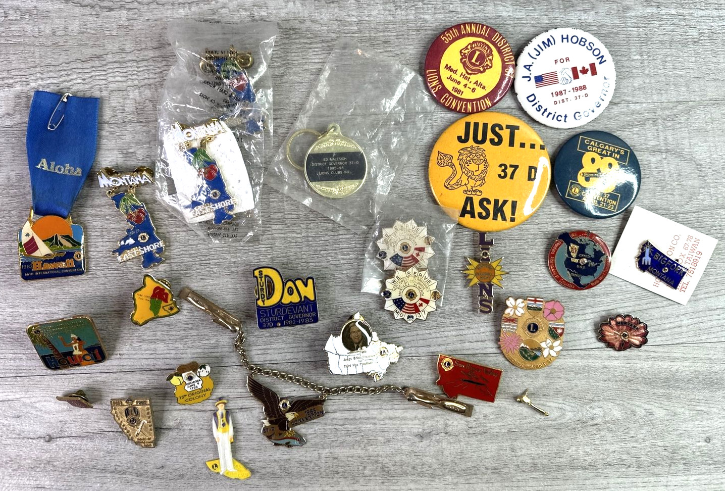 Vtg 1970-80s Mixed Lot of 27 Lions Club Pins/Buttons CA, GA, OK, MT, CA, HI...