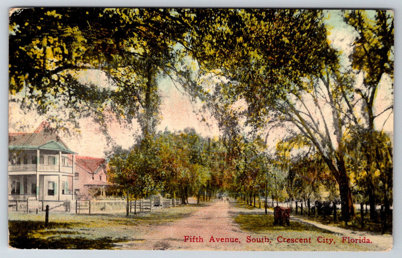 c1900s UDB Fifth Ave Crescent City Florida South Antique Postcard