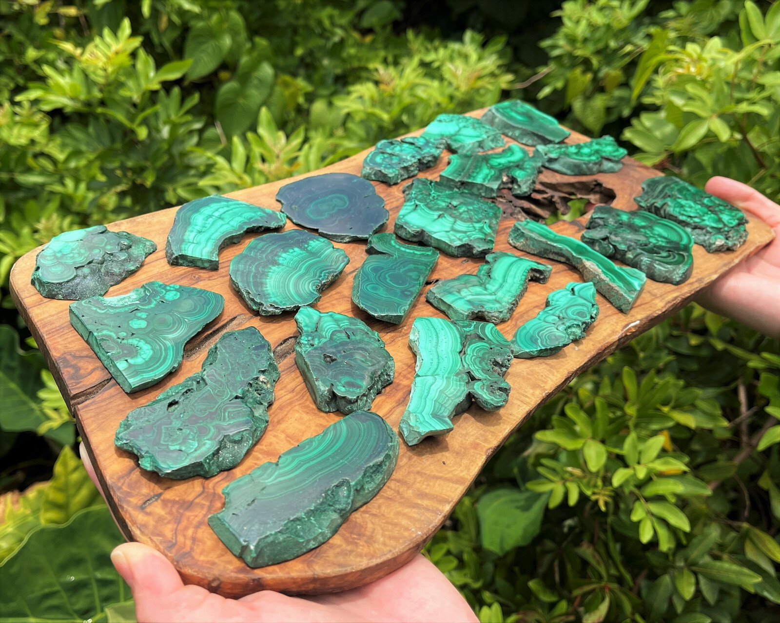 Natural Malachite Slices - Polished Malachite Crystal Slab Wholesale Bulk Lots