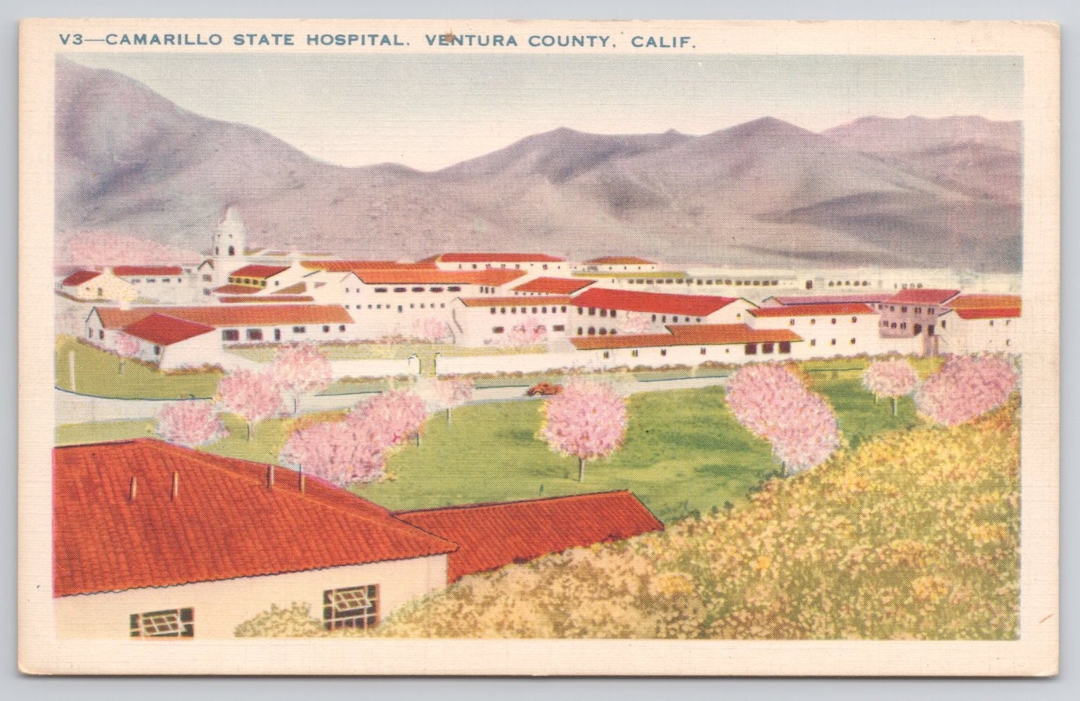 Camarillo State Hospital for the Insane Ventura County CA Postcard c1935s