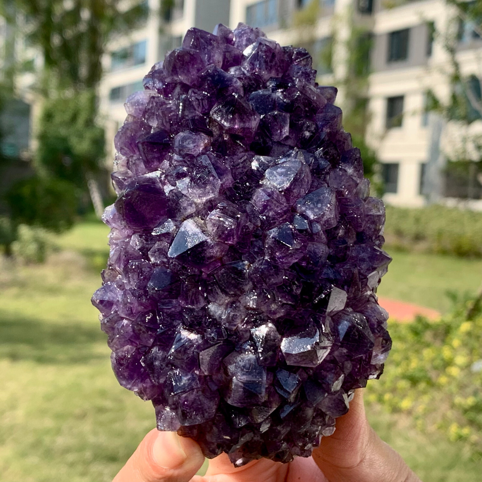 374G Natural Amethyst Flowers Crystal Quartz Cluster Specimens Healing Reiki
