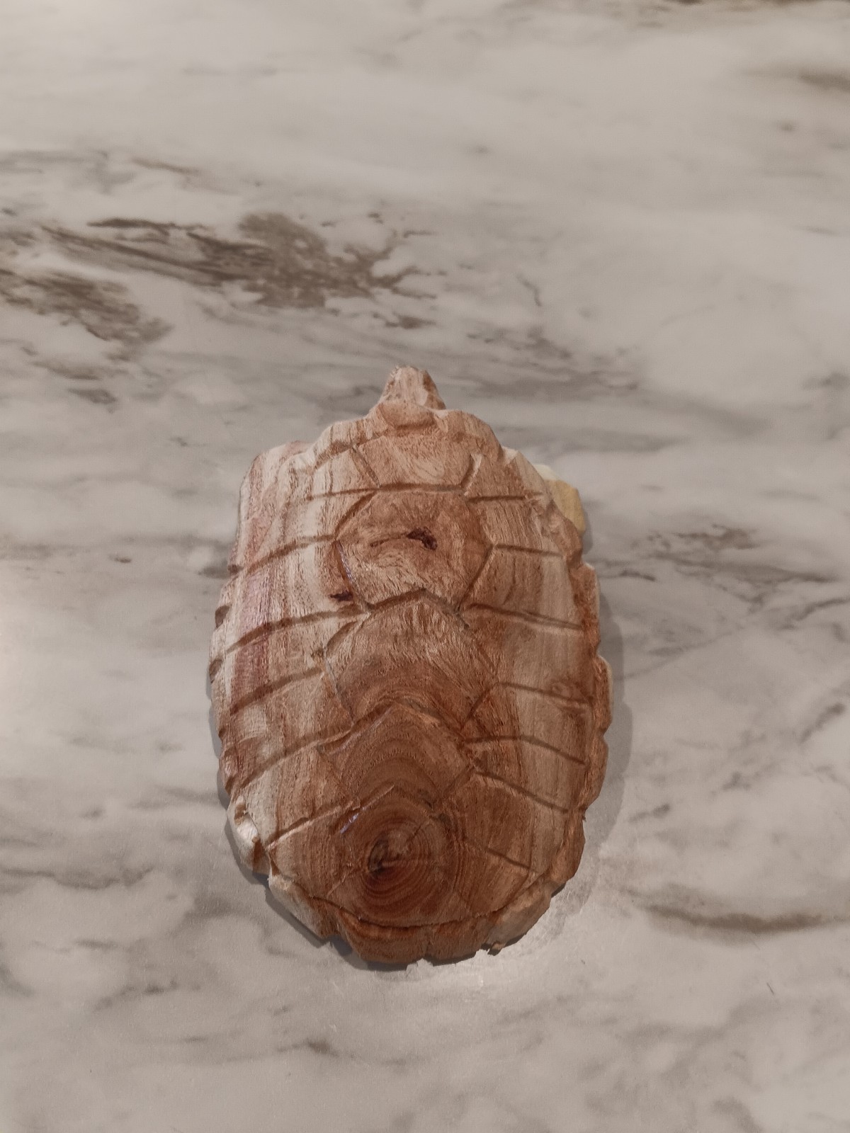 Hand Carved,Wooden, Pancake Tortoise Sculpture 