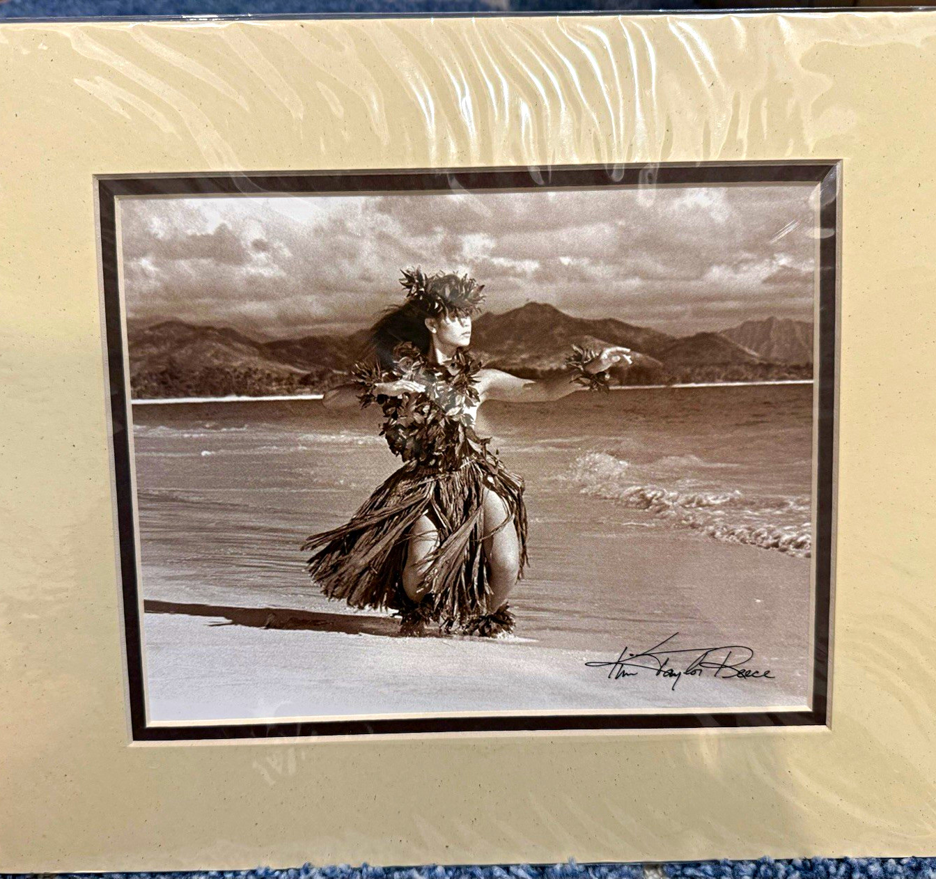 Lot of 10 Kim Taylor Reece Hula Fine Art Prints 8x10 Matte 11x14 Hawaiian New