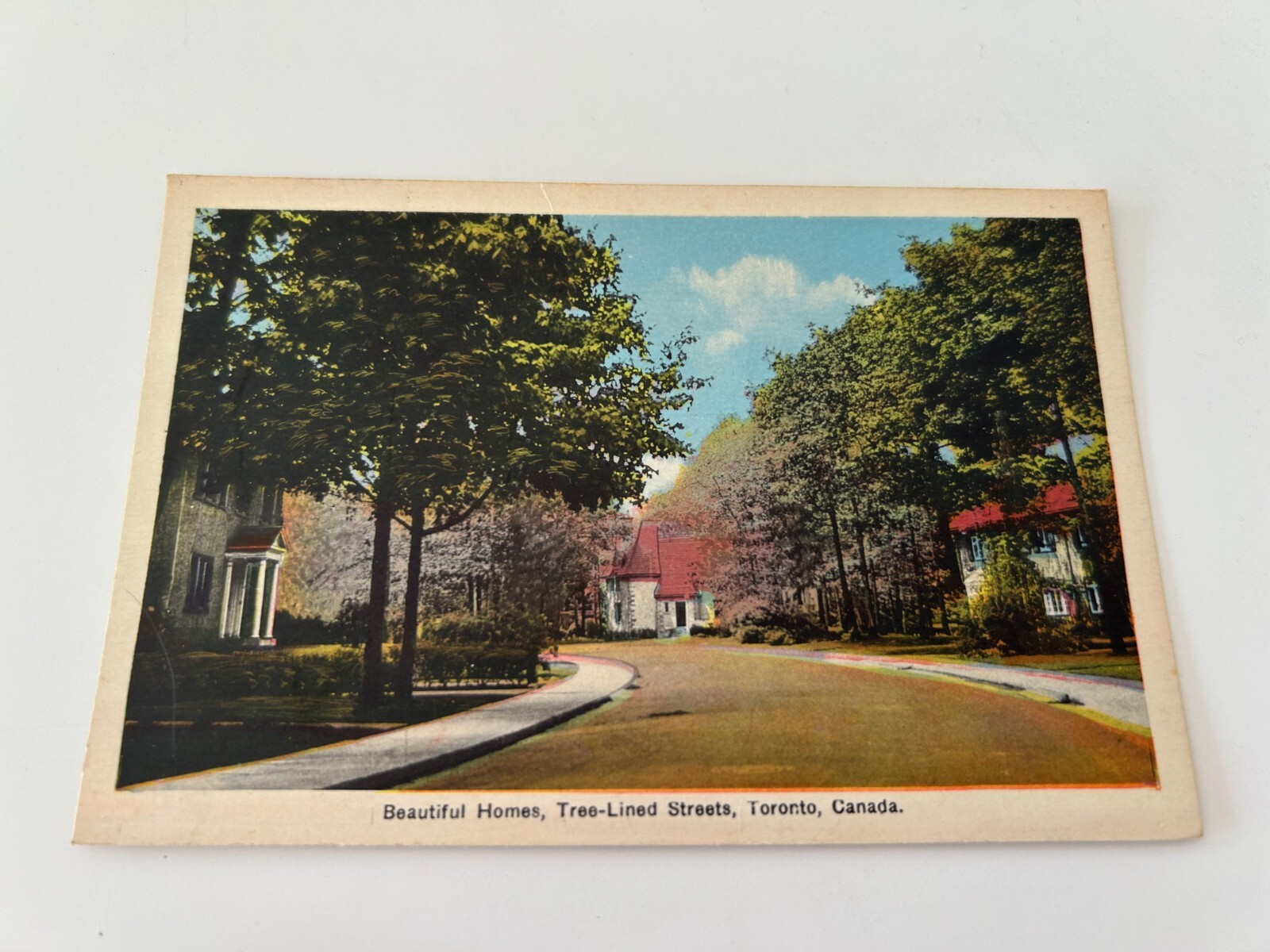 Beautiful Homes on Tree Lined Streets in Toronto Canada Postcard