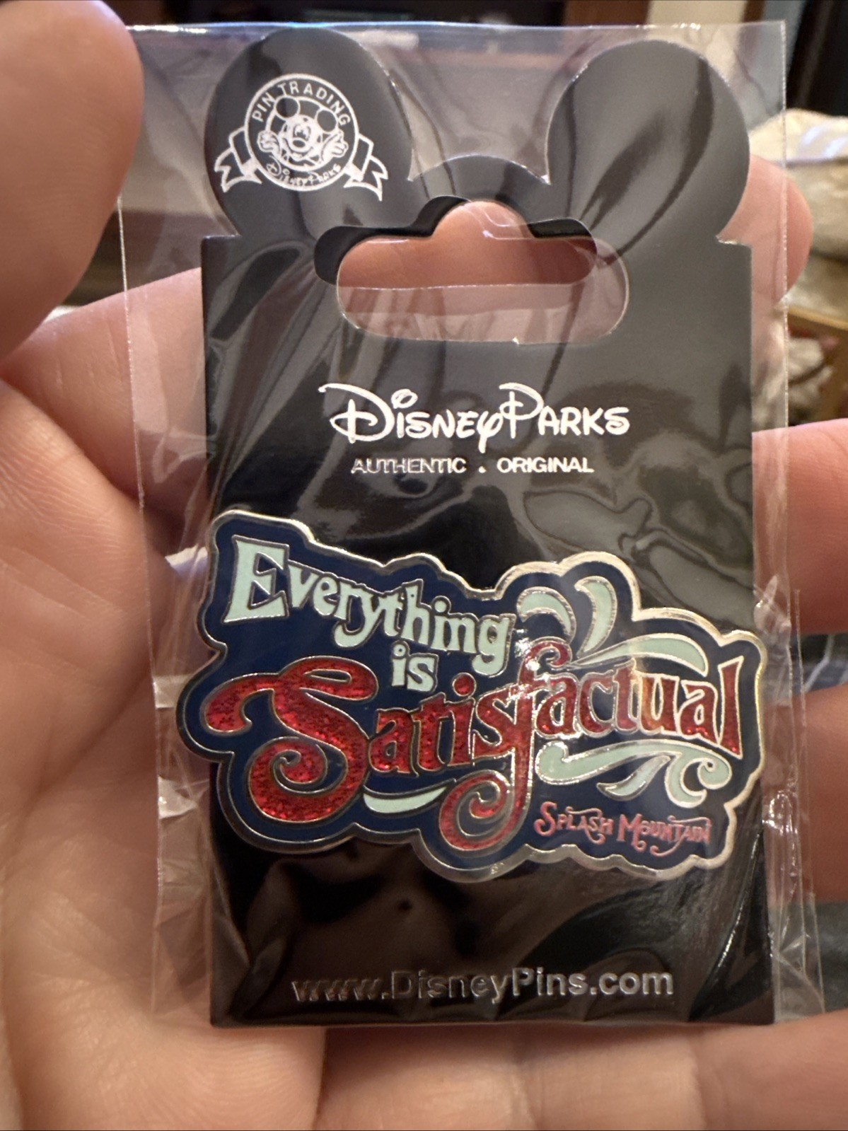 Everything is Satisfactual SPLASH MOUNTAIN trading Pin