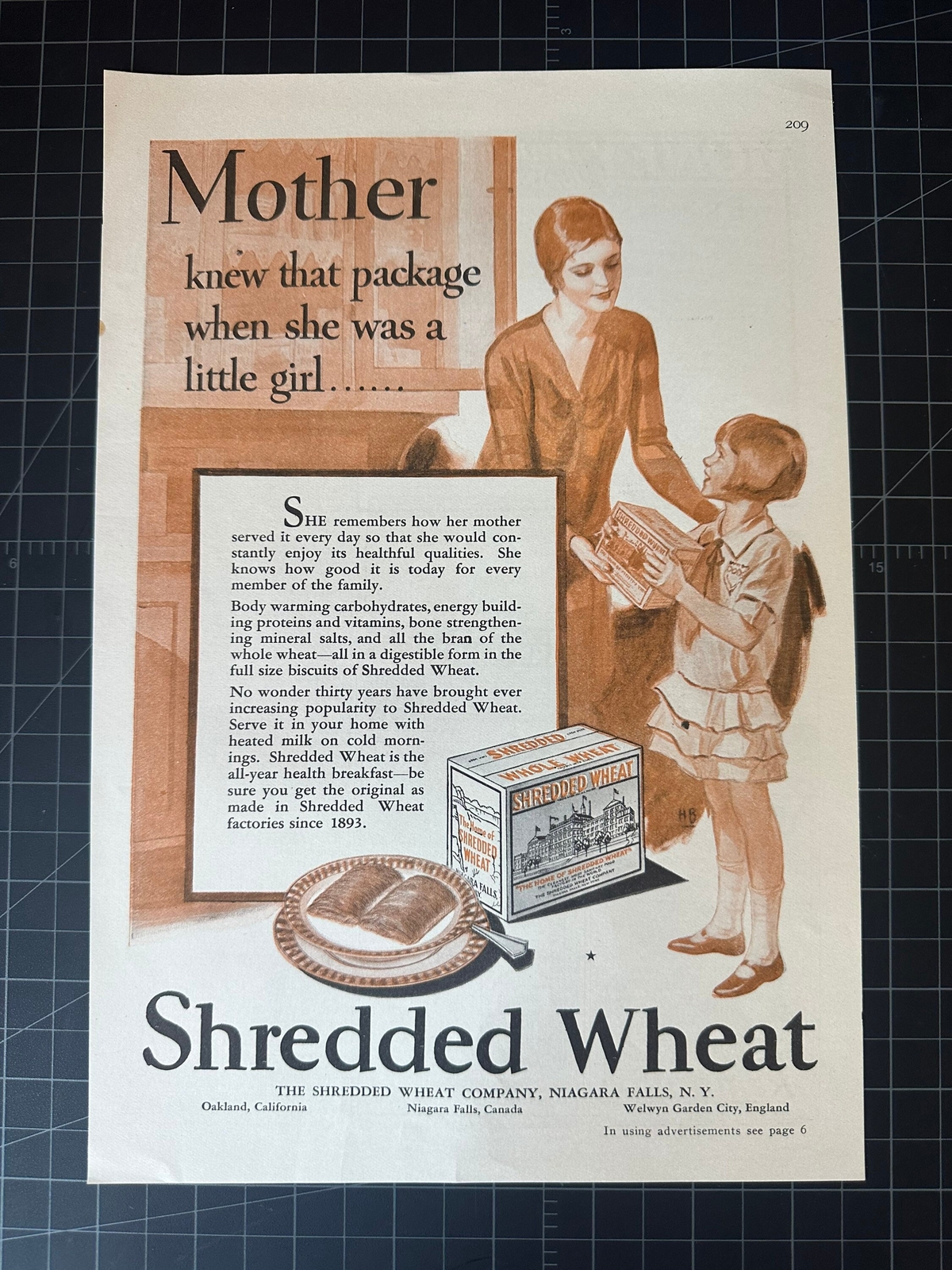 Vintage 1929 Shredded Wheat Cereal Print Ad
