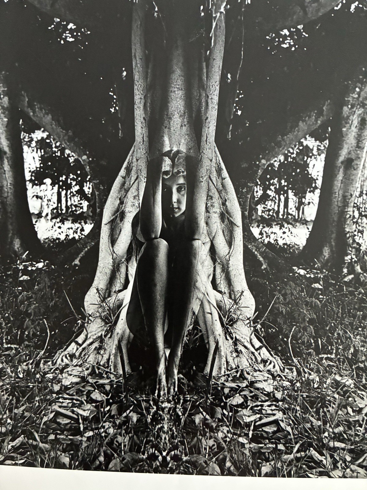 Jerry Uelsmann Gelatin Silver Print Woman Tree Surreal 10x8 Stamped Vintage