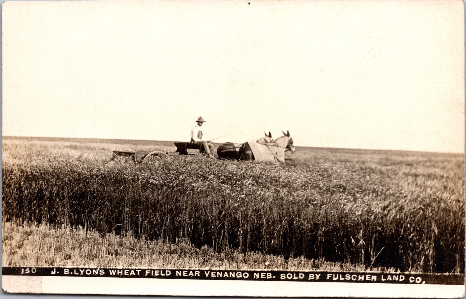 RPPC J.B. Lyon\'s Wheat Field near Venango, Nebraska sold by Fulscher Land Co