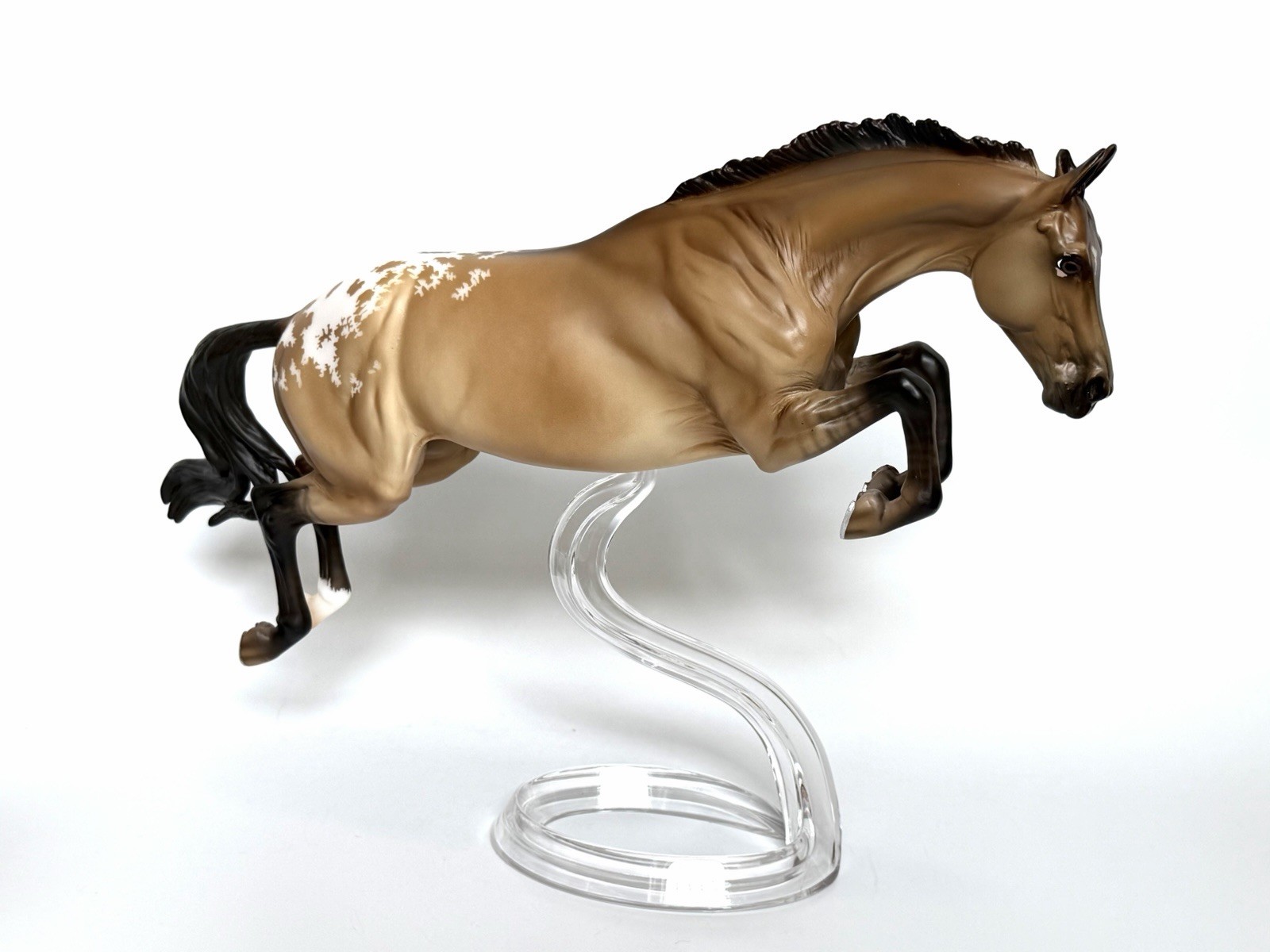 Breyer 2022 Birds of a Feather Series PEREGRINE Bristol Jumper Dun Appaloosa WOW