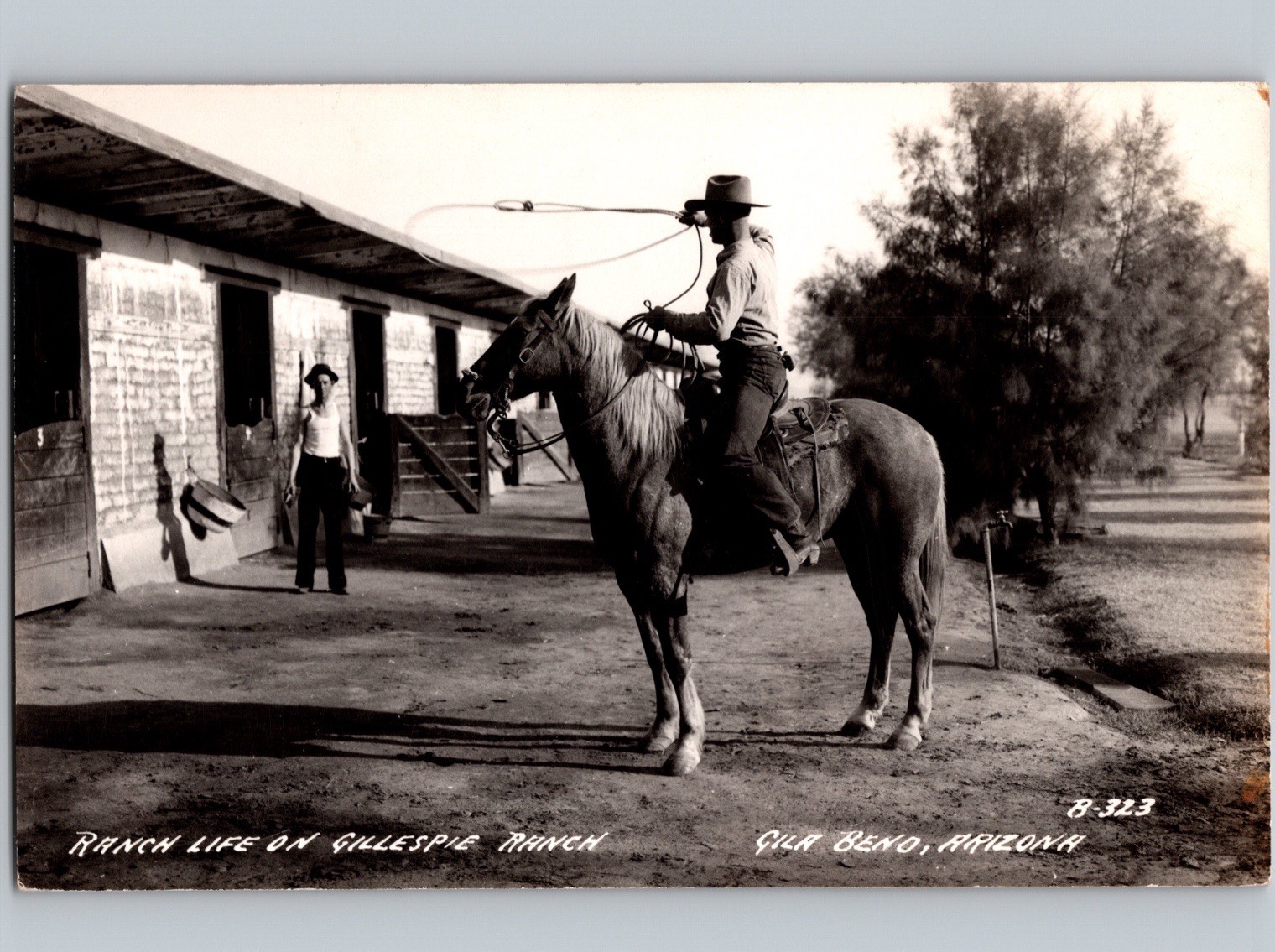 c1945 Man Lasso Horse Gillespie Ranch Gila Bend Arizona AZ Maricopa County RPPC
