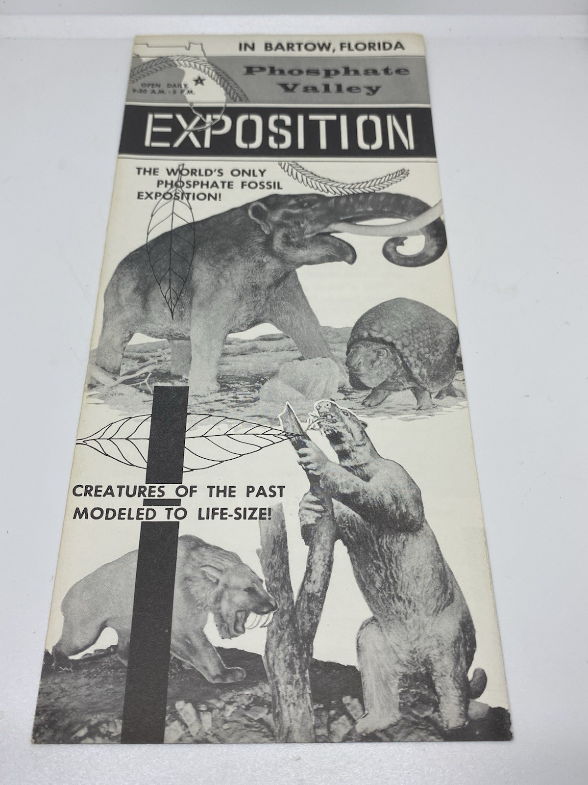 Phosphate Valley Expostion Bartow,FL Brochure