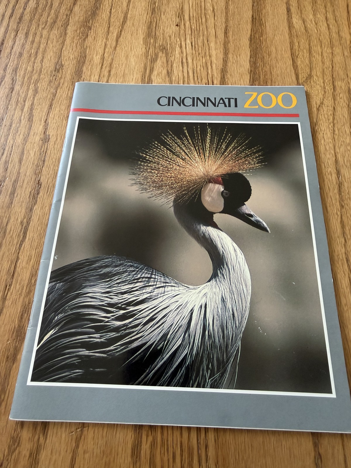 Vintage 1986 Cincinnati Zoo Illustrated Guidebook Map Ohio USA Color Souvenir