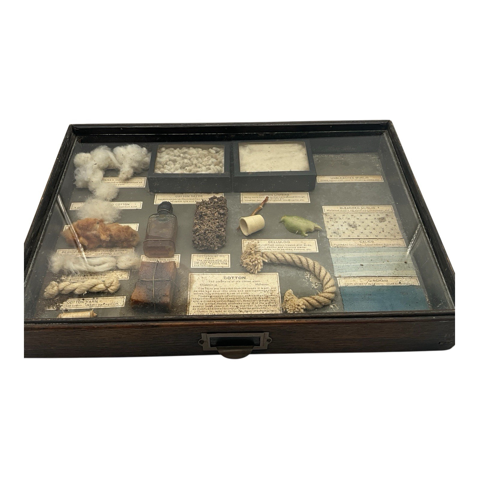 Antique Shadow Box Display Drawer W/Cotton Products Philadelphia Museum Quality Antique Shadow Box Display Drawer W/Cotton Products Philadelphia Museum Quality