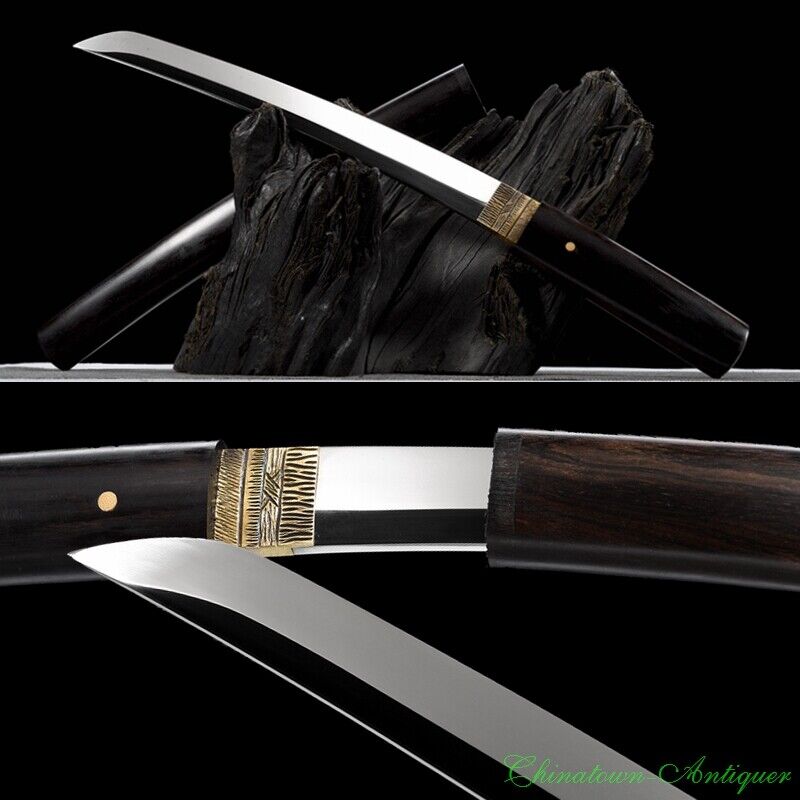 Handmade 1095 Steel Blade Japanese Short Sword Tanto Wakizashi Katana Sharp#1161
