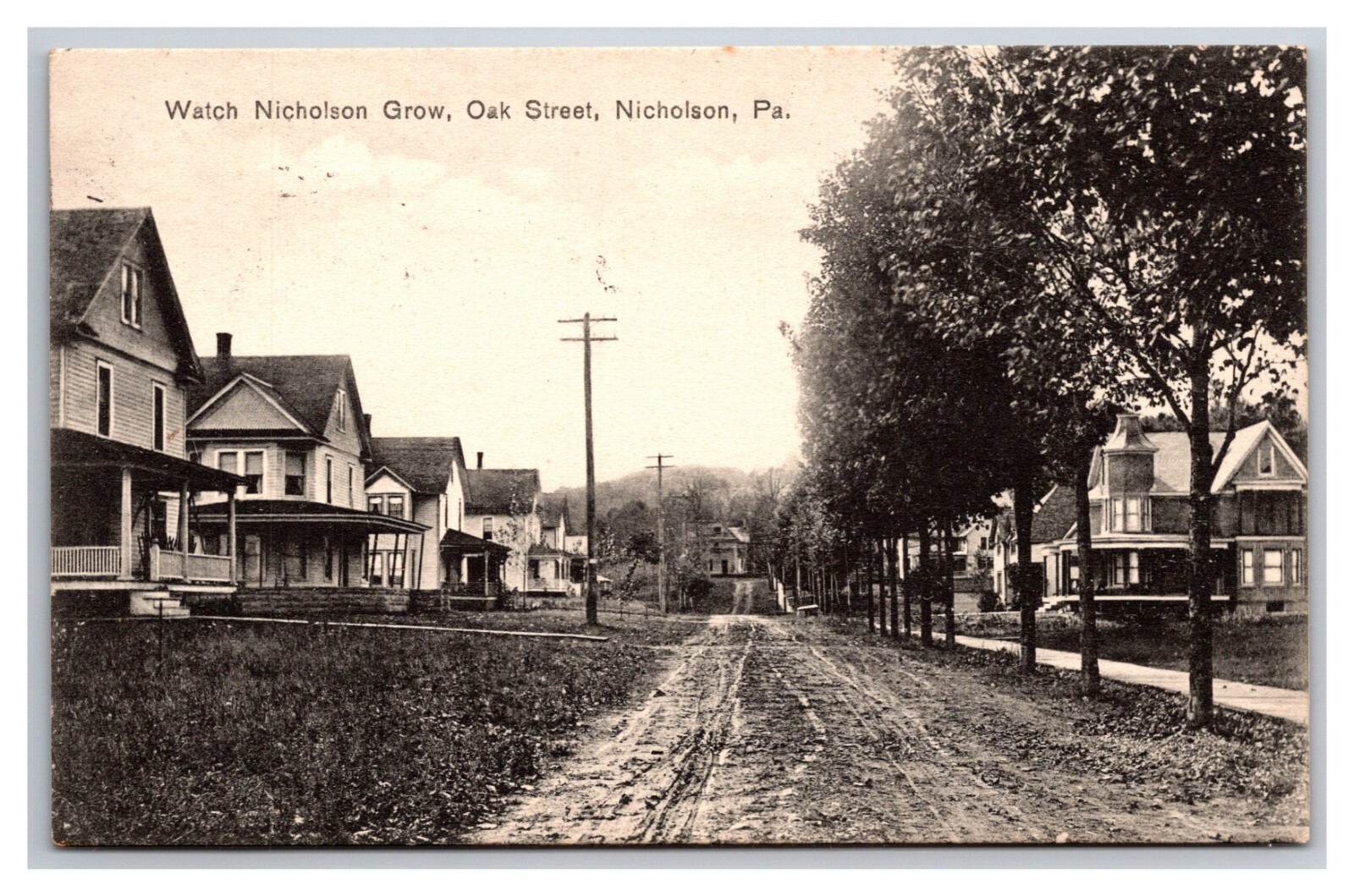 Oak Street View Nicholson Pennsylvania PA DB Postcard Y21