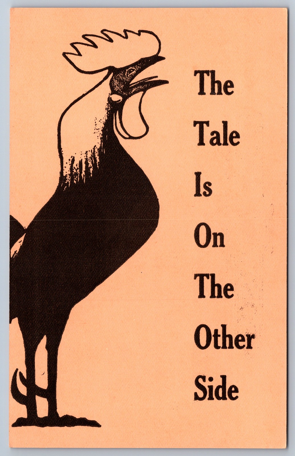 Comic Rooster Postcard The Tale Is On The Other Side A Tale of Woe Novelty