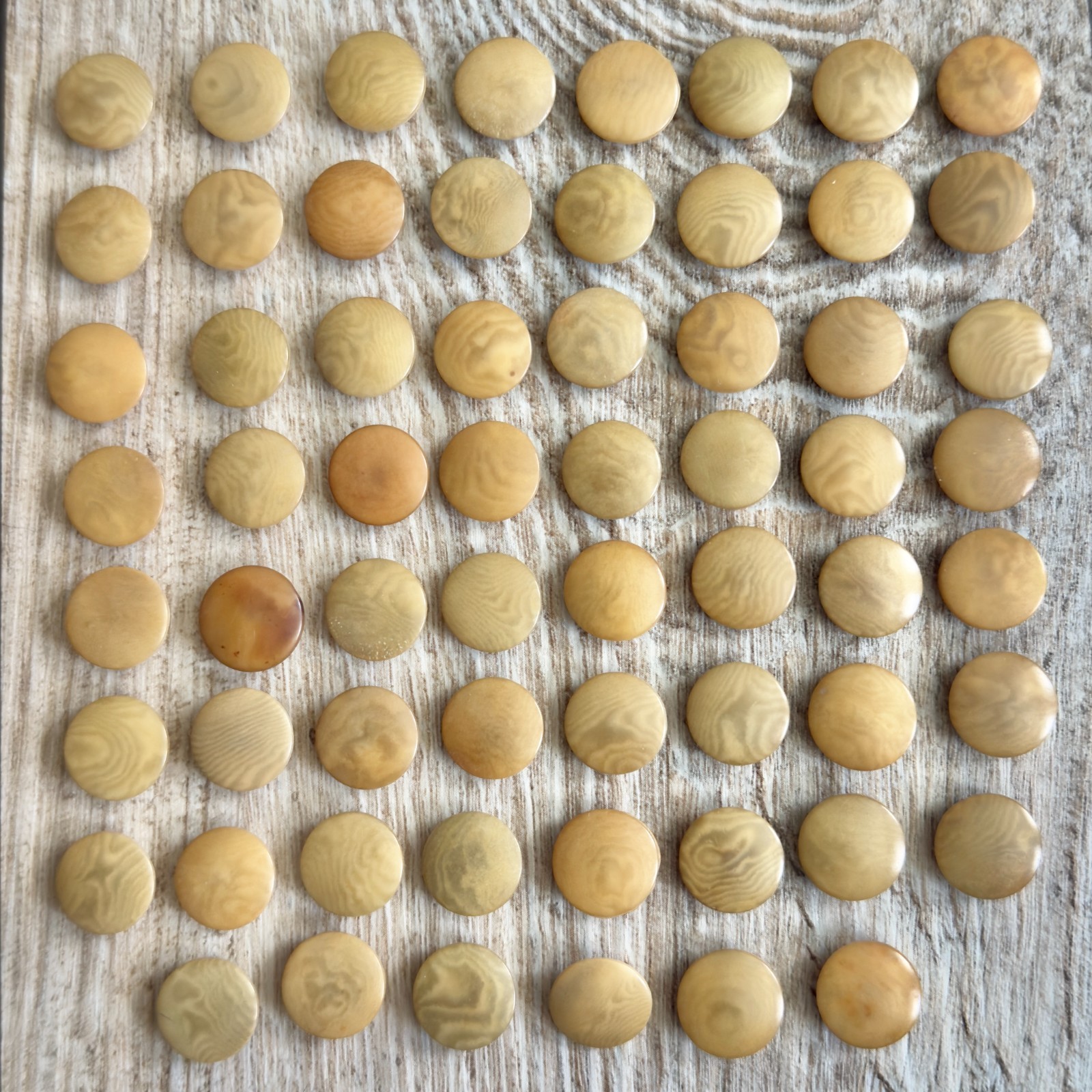 Vintage Vegetable Ivory Buttons Whistle Self Shank Lot