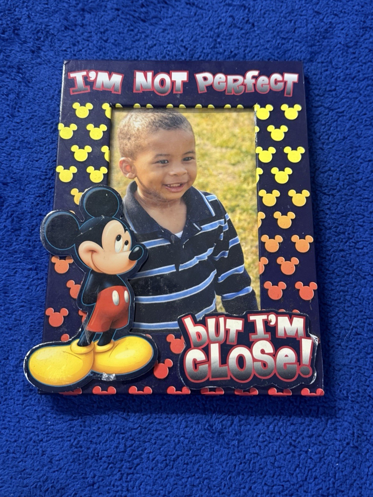 Walt Disney World Picture Frame 4x6