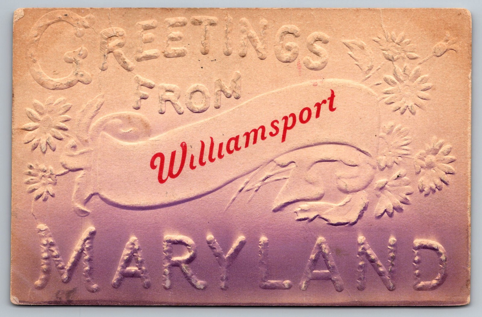 Vintage Embossed Postcard Greetings From Williamsport Maryland MD Postmarked