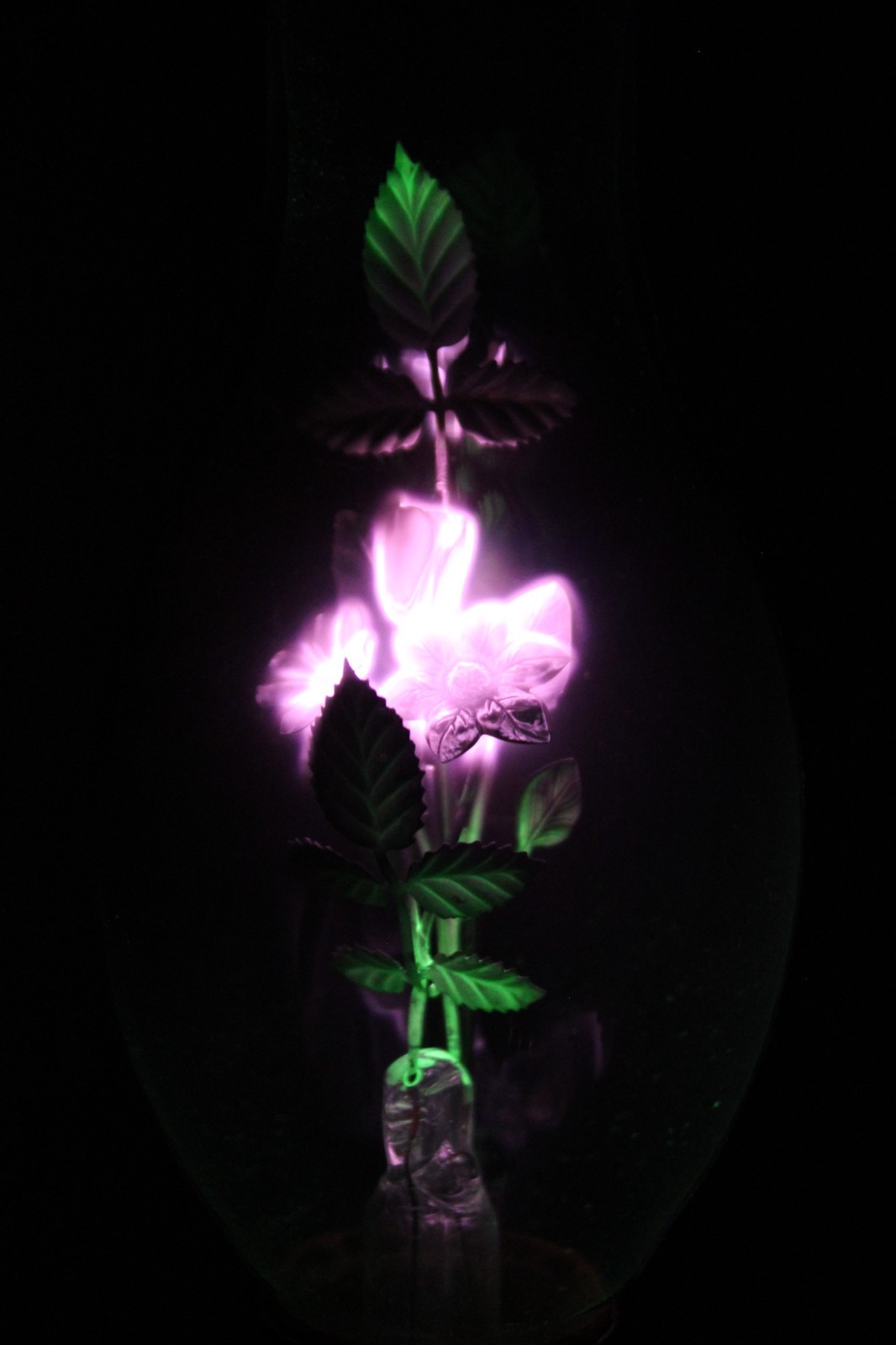 1960'S VINTAGE AEROLUX PURPLE & GREEN FLOWERS & LEAVES ARGON LIGHT BULB
