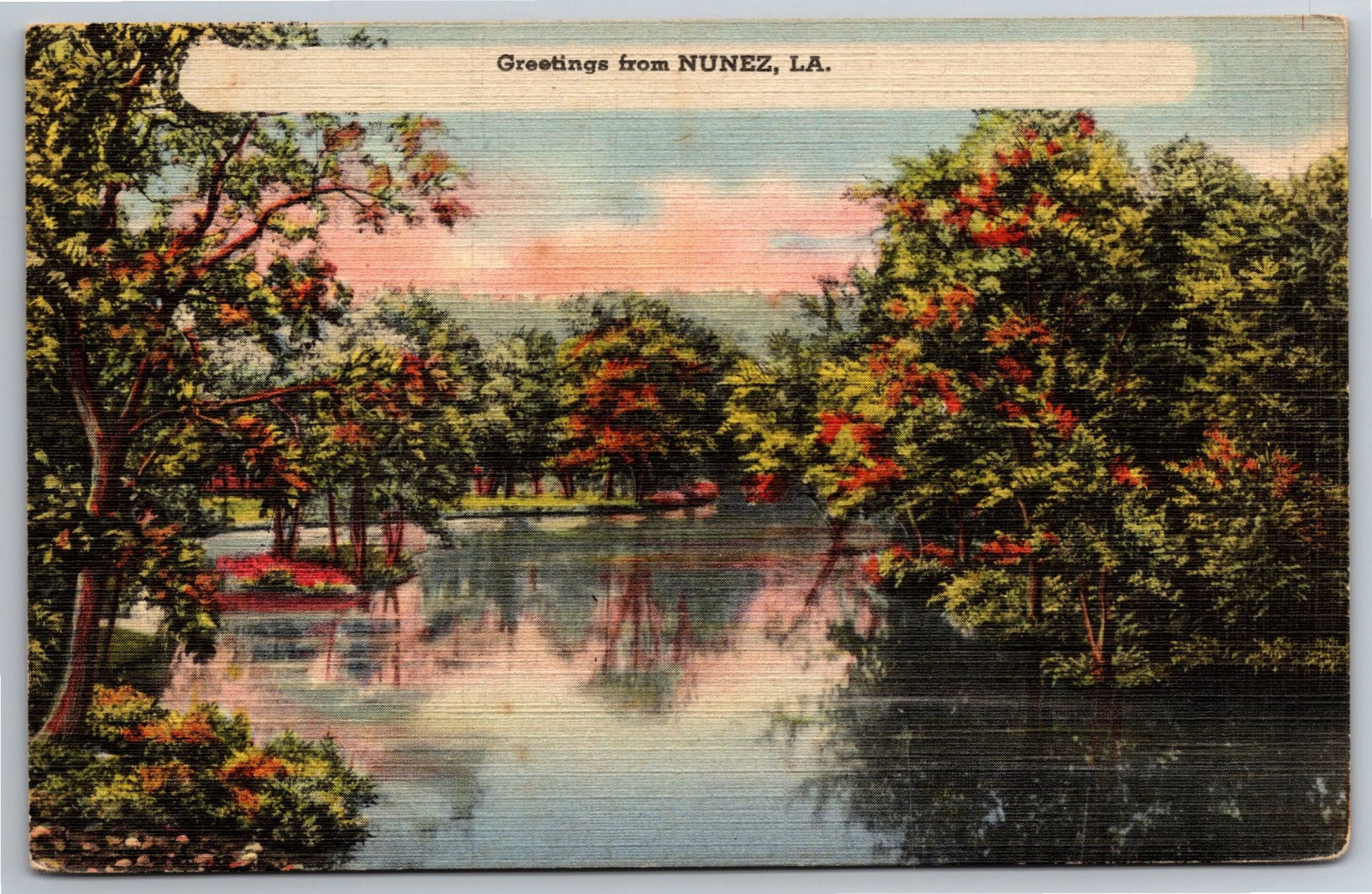 LA, Nunez, Greetings, Nature Scene, Trees, Water, Vintage Postcard LA, Nunez, Greetings, Nature Scene, Trees, Water, Vintage Postcard