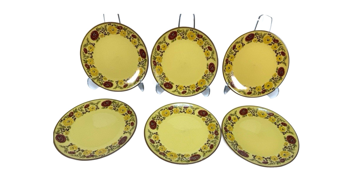 Set of 6 Taylor Smith & Taylor Design 70 Indian Summer Salad Plate 8.25\