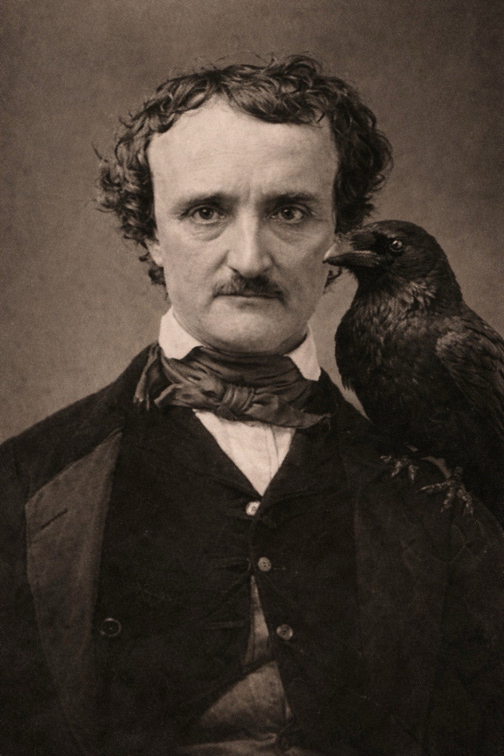 Edgar Allan Poe Portrait Raven Bird MODERN Postcard Dark Fantasy A174