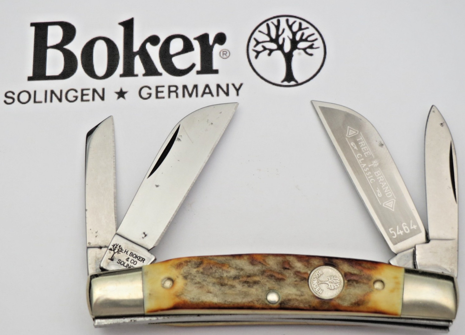 H BOKER Solingen Medium Four Blade Congress Stag Handles - Carbon Steel - Unused