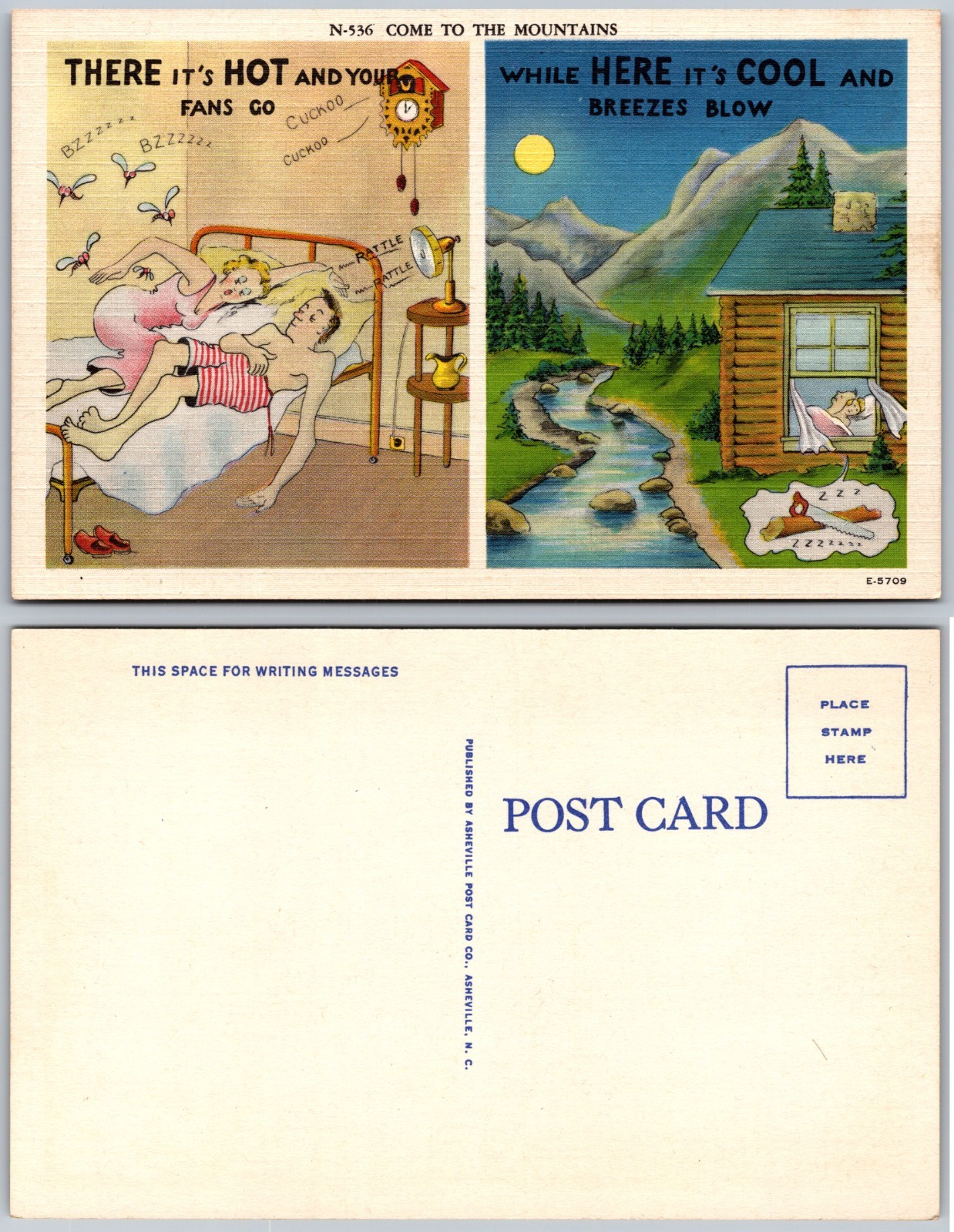 Come To The Mountains Postcard