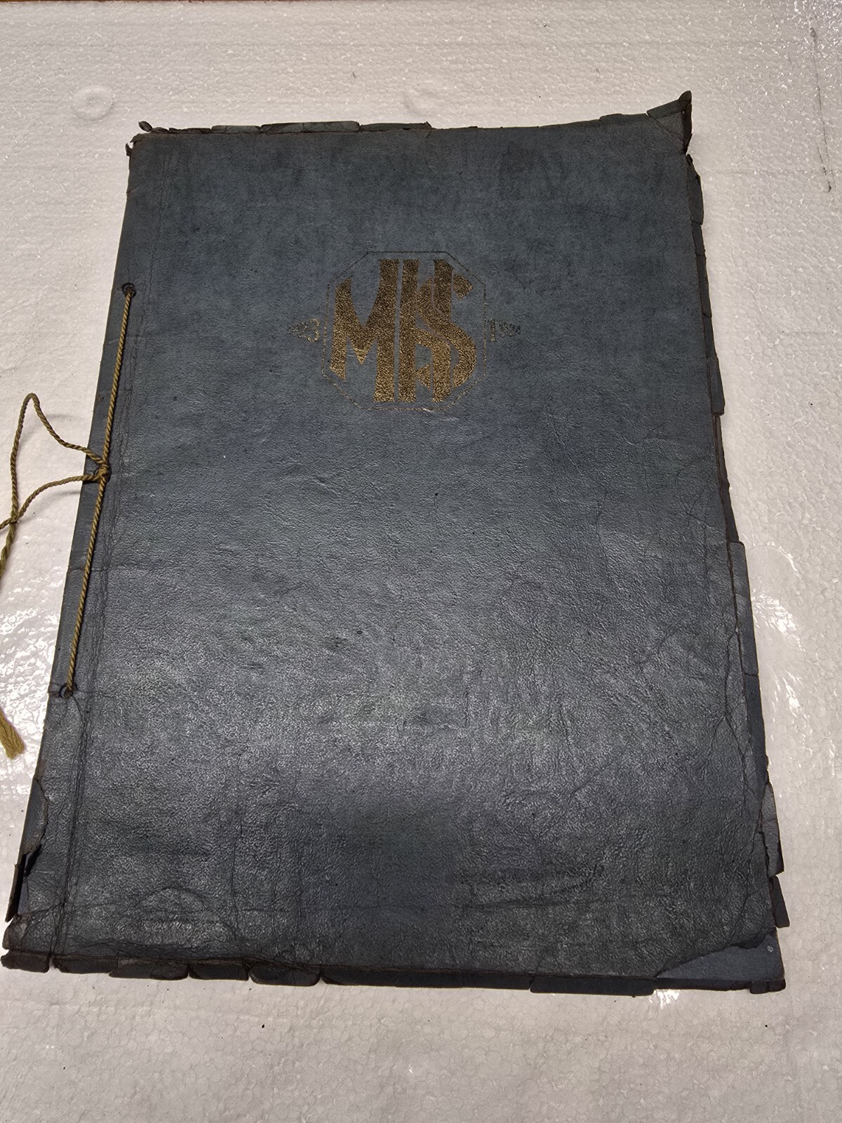 1923-1924 Magnolia High School Yearbook New Martinsville West Virginia WV Antiqu 1923-1924 Magnolia High School Yearbook New Martinsville West Virginia WV Antiqu