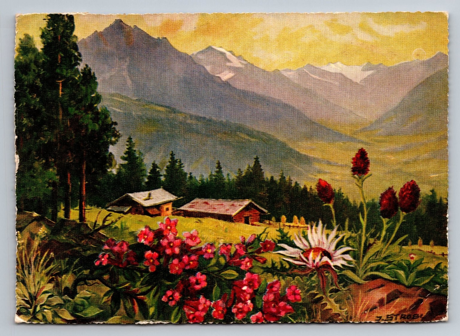 Vintage Austrian Alpenblumen Postcard Scenic Mountain Landscape 1959