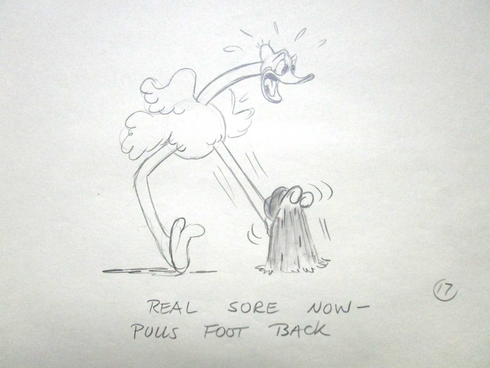 1937 DONALD DUCK OSTRICH Walt Disney ORIGINAL PRODUCTION cel DRAWING LAYOUT bird 1937 DONALD DUCK OSTRICH Walt Disney ORIGINAL PRODUCTION cel DRAWING LAYOUT bird