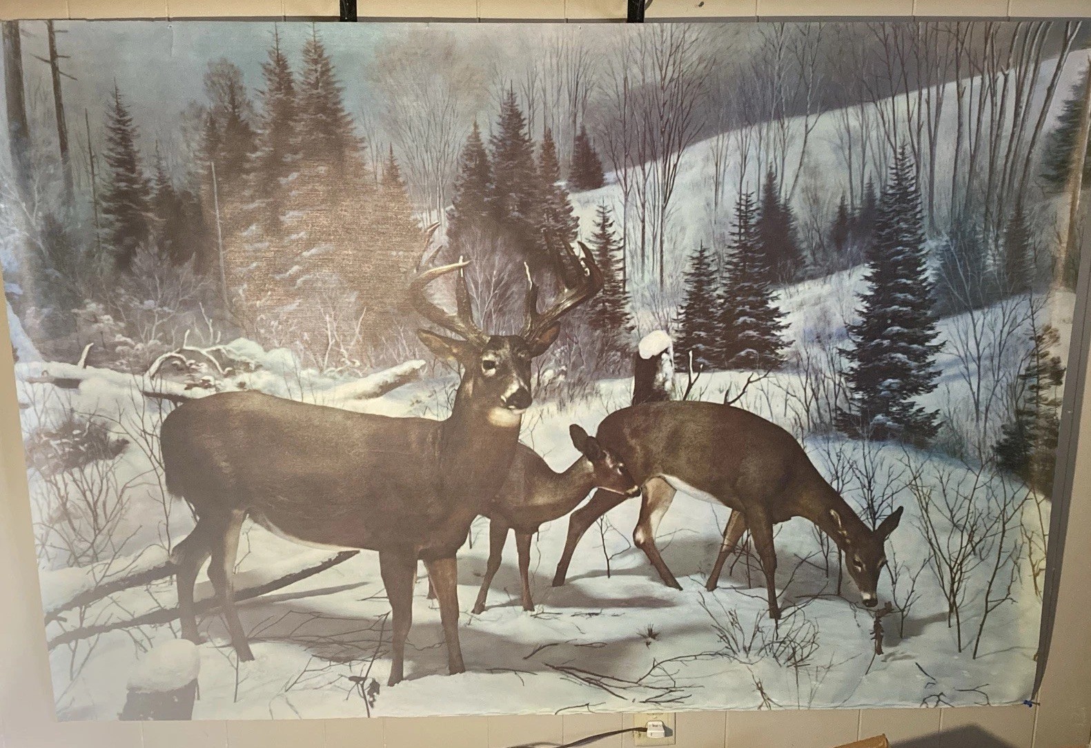 Sears Roebuck MCM Large Wall Mural Winter Deer Scene 45x65 1961 VTG Sears Roebuck MCM Large Wall Mural Winter Deer Scene 45x65 1961 VTG