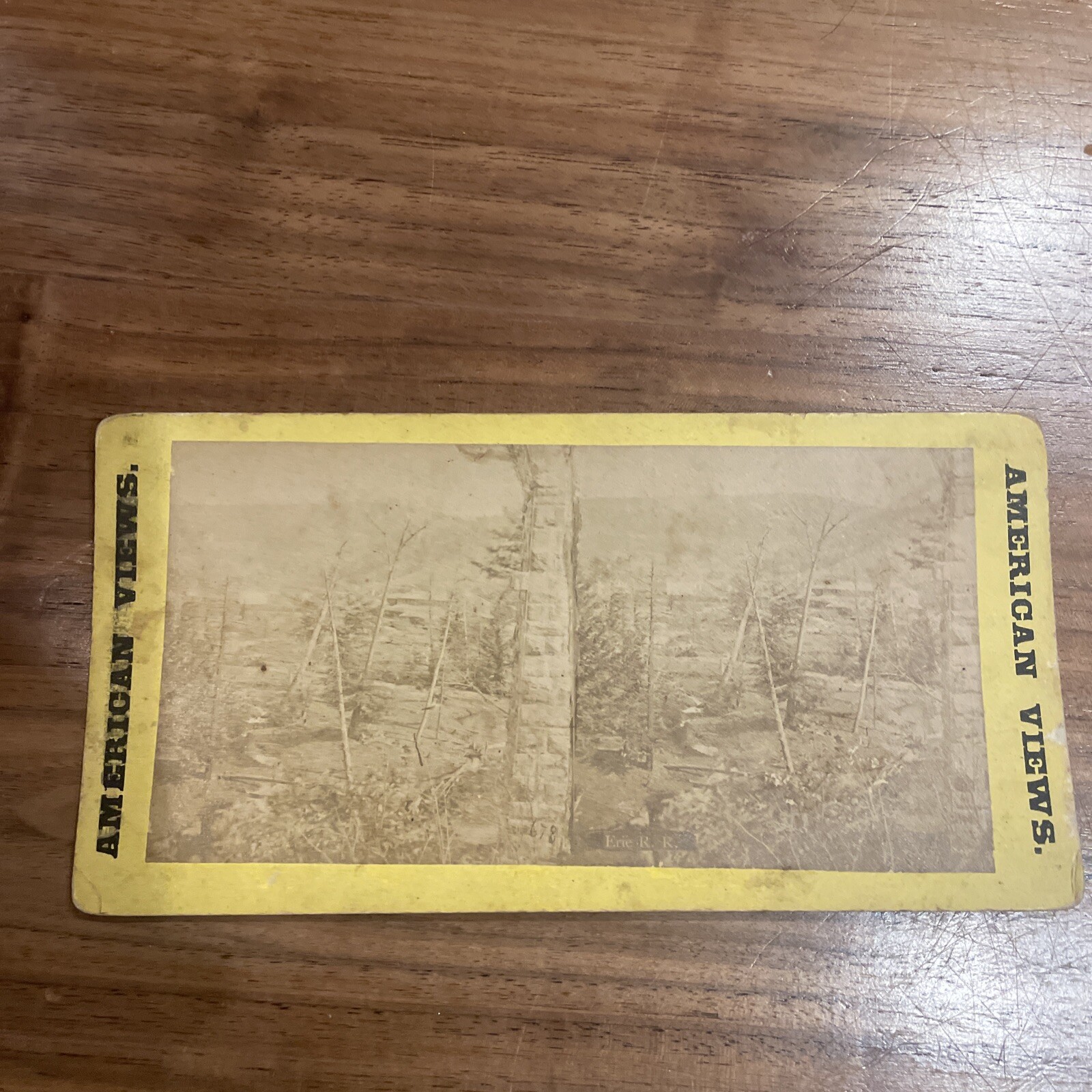 American Views Stereoview Steroscopic photo Erie RR