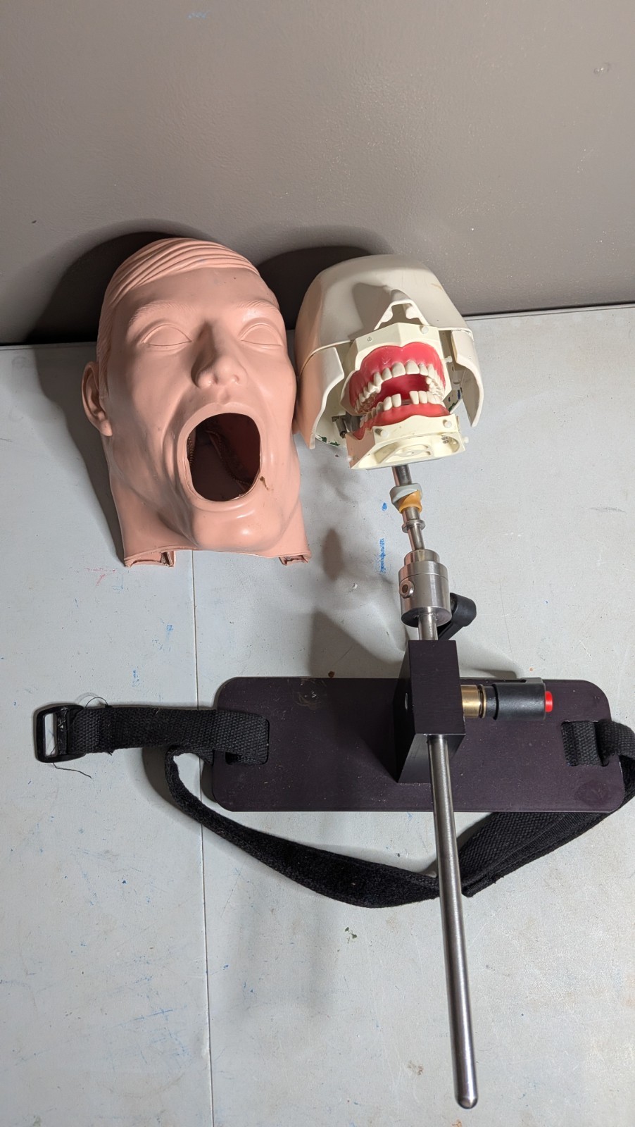 VTG Columbia Dentoform Dental Phantom Head Display W/ Stand - Metal Shroud (#16)