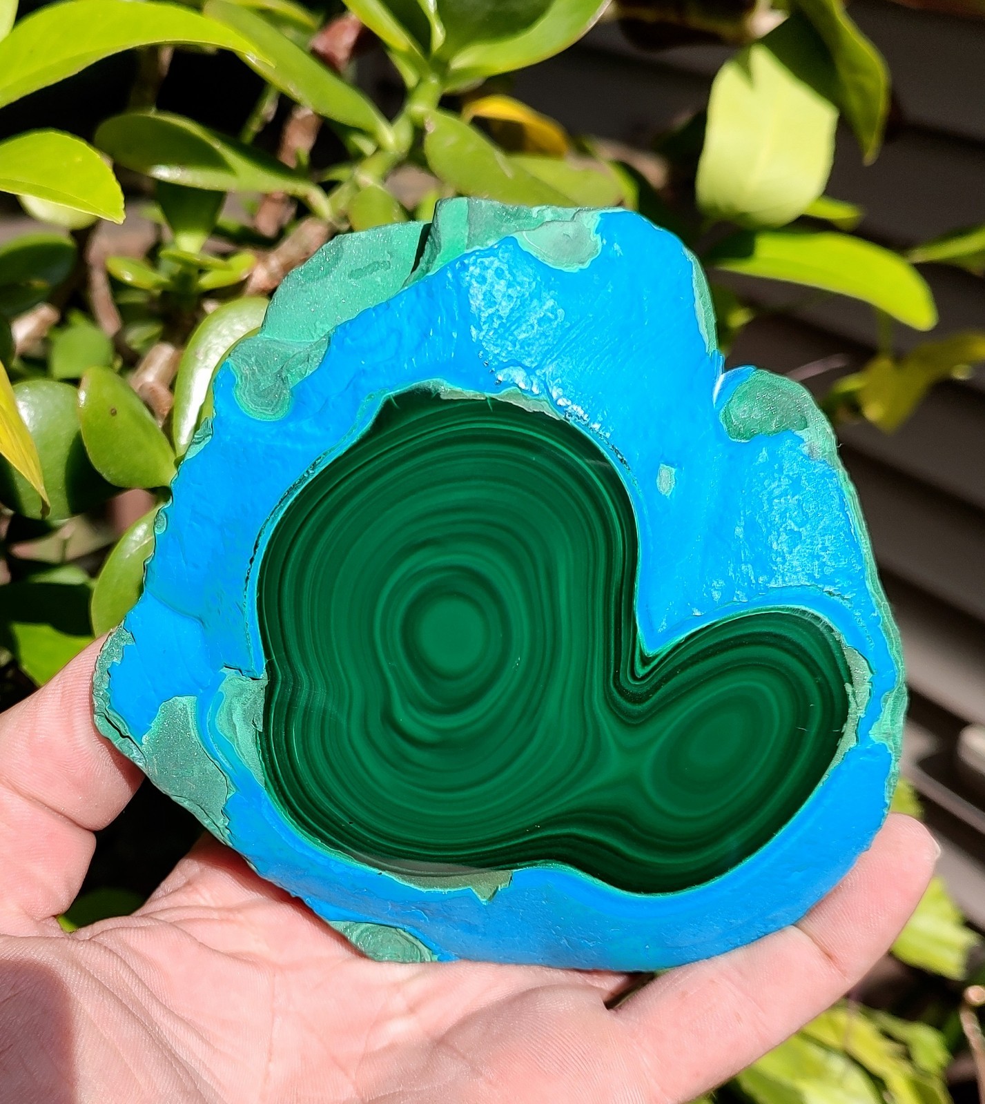 GORGEOUS CHRYSOCOLLA -MALACHITE NATURAL MINERAL, LG, 1217G/2LB 10.9OZ SHOW PIECE