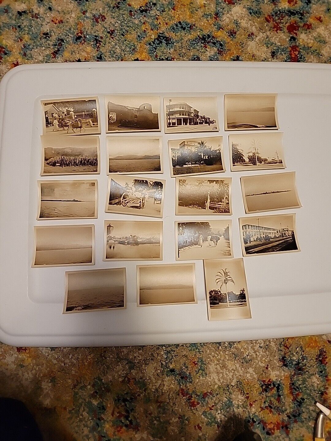 Lot  19 Antique Photos Jamaica Travel People Countryside Horse Wagon Early 1900s