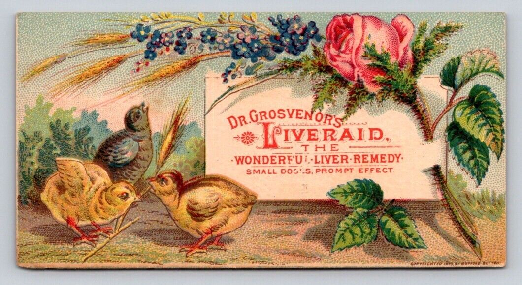 1870s-80s Dr Grosvenors Liveraid Bellanodyne Plaster Cute Chicks P29