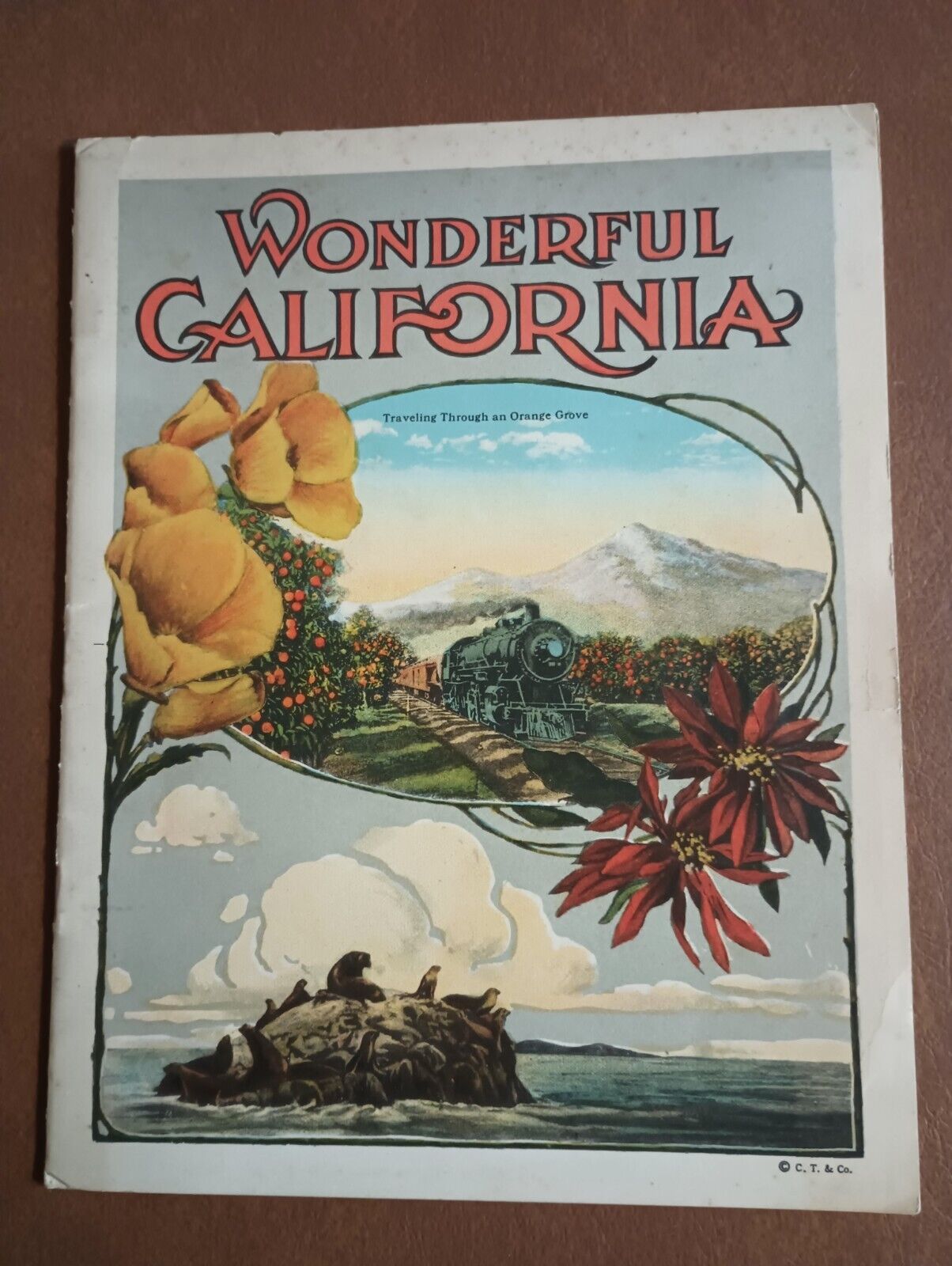 1920's Booklet Wonderful California Traveling Through An Orange Grove Woolworth