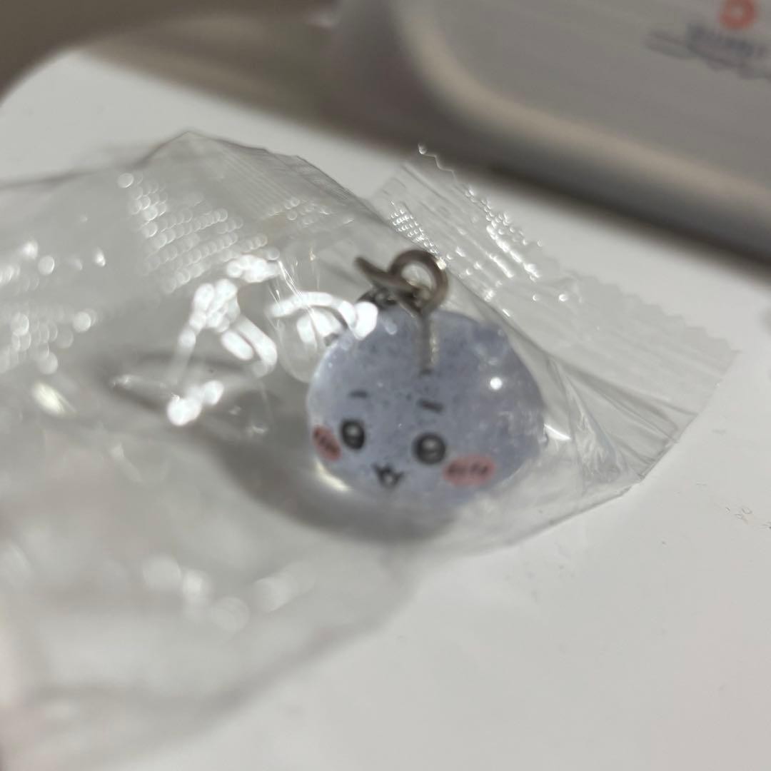 Chiwikawa Park Mini Charm Figure Charms Marker Accessory Clear Acrylic Keychain