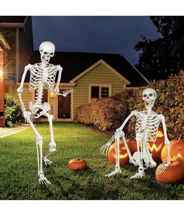 5ft Giant Halloween Human Skeleton Poseable Full Life Size Decoration Party Prop