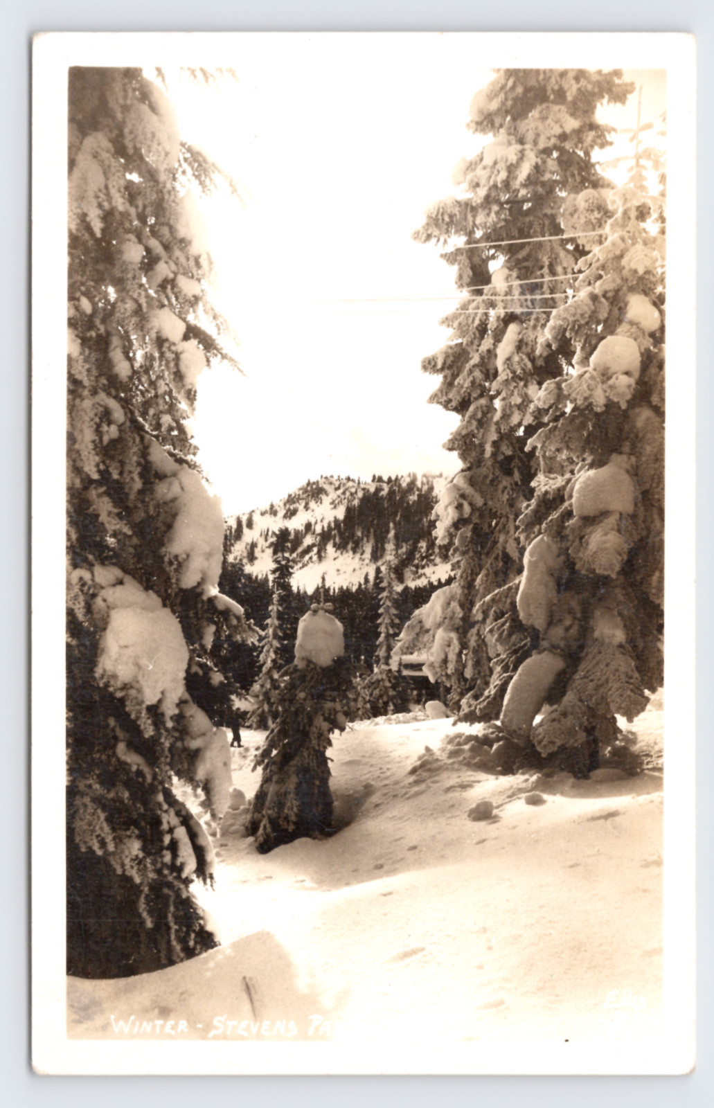 c1940 Winter Stevens Pass Snow Scene RPPC Ellis WA Cascade Mountains Pine Trees c1940 Winter Stevens Pass Snow Scene RPPC Ellis WA Cascade Mountains Pine Trees