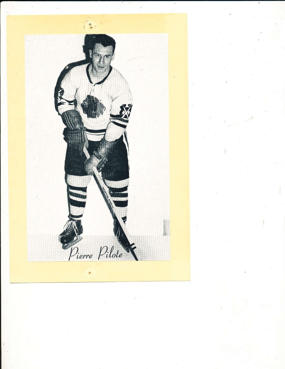 1944-63 BeeHive Chicago Blackhawks Pierre Pilote card