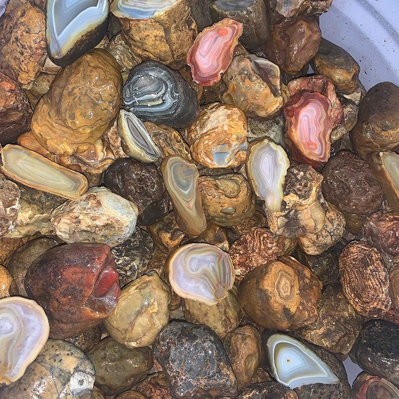Island Agate #1 Medium (Price per pound)