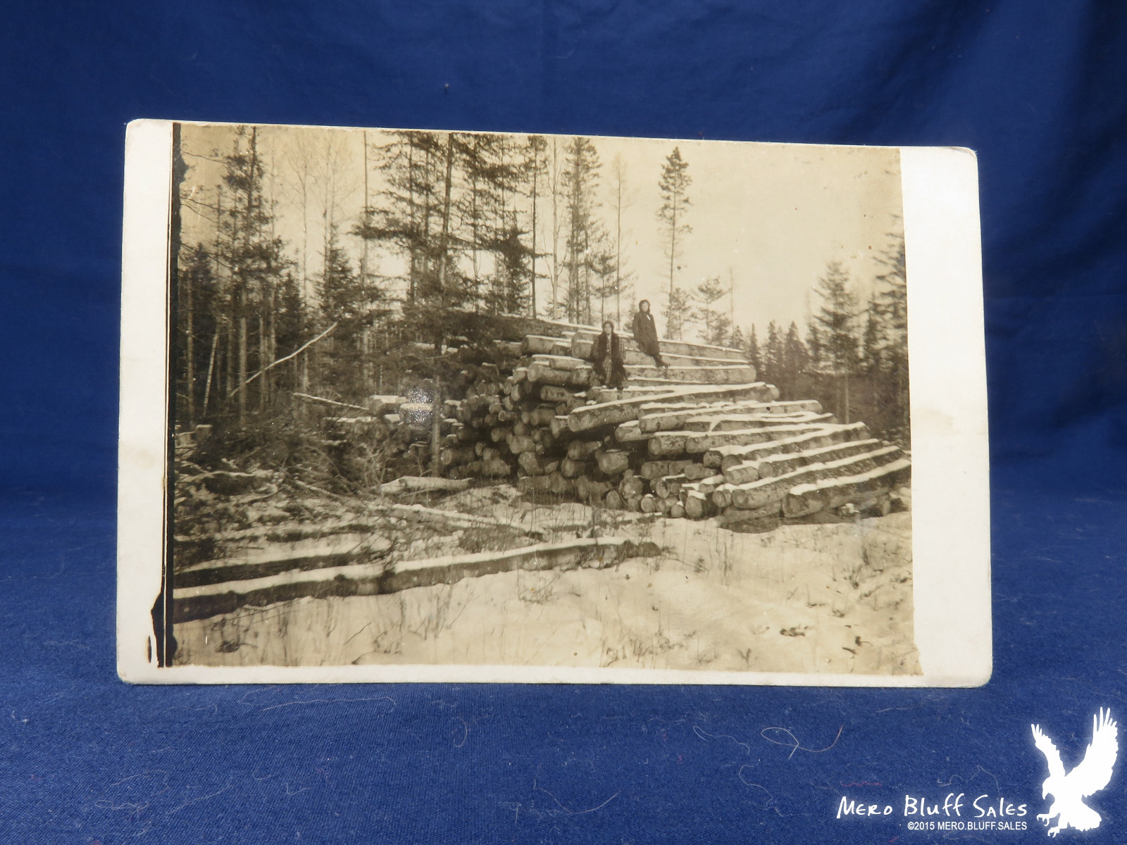 RPPC Graff Minn 1907 Sitting On Logs 2 Girls IDENTIFIED Up North LOGGING SKIDWAY