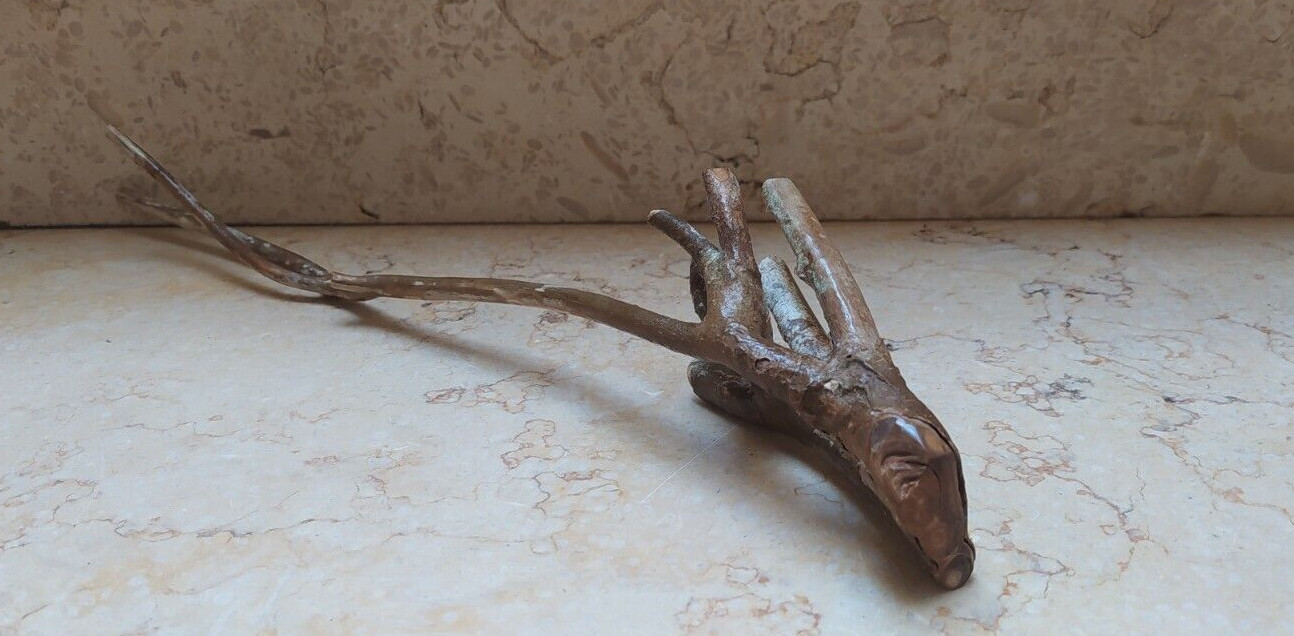 CORAL GOLDEN Natural  Branch Genuine specimen75gram 300mm used for jewelry