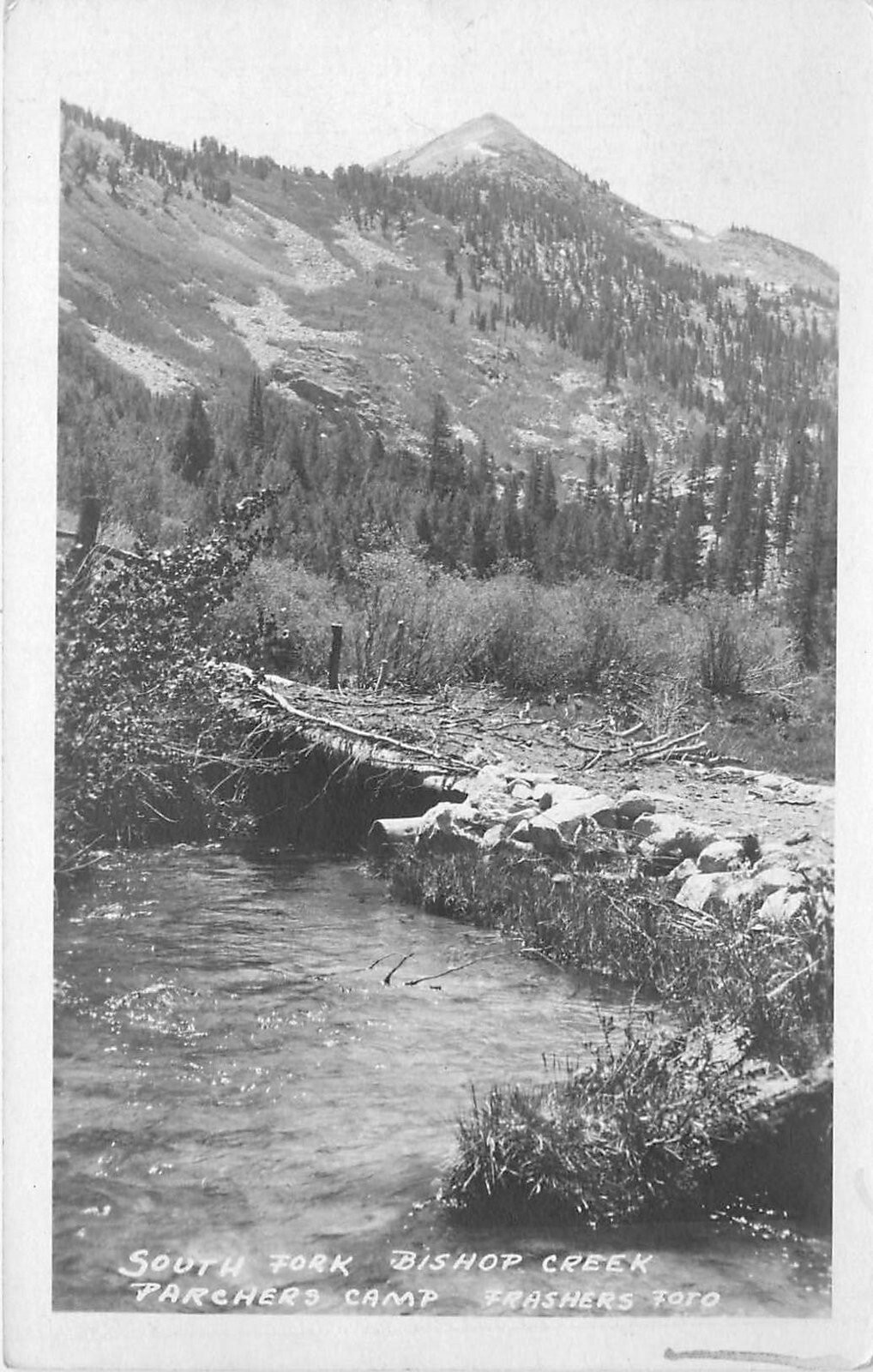 Postcard RPPC 1920s California Inyo Parchers Camp Frashers CA24-1178